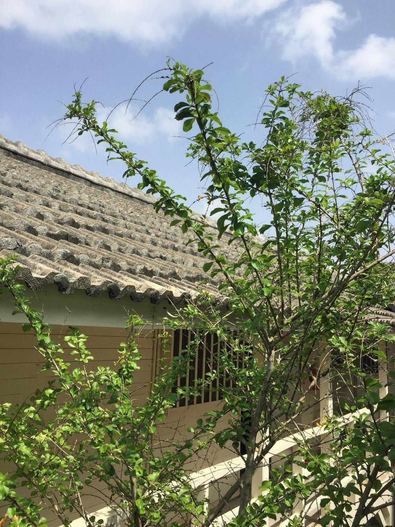 Shirahama Hotel Nago Exterior photo
